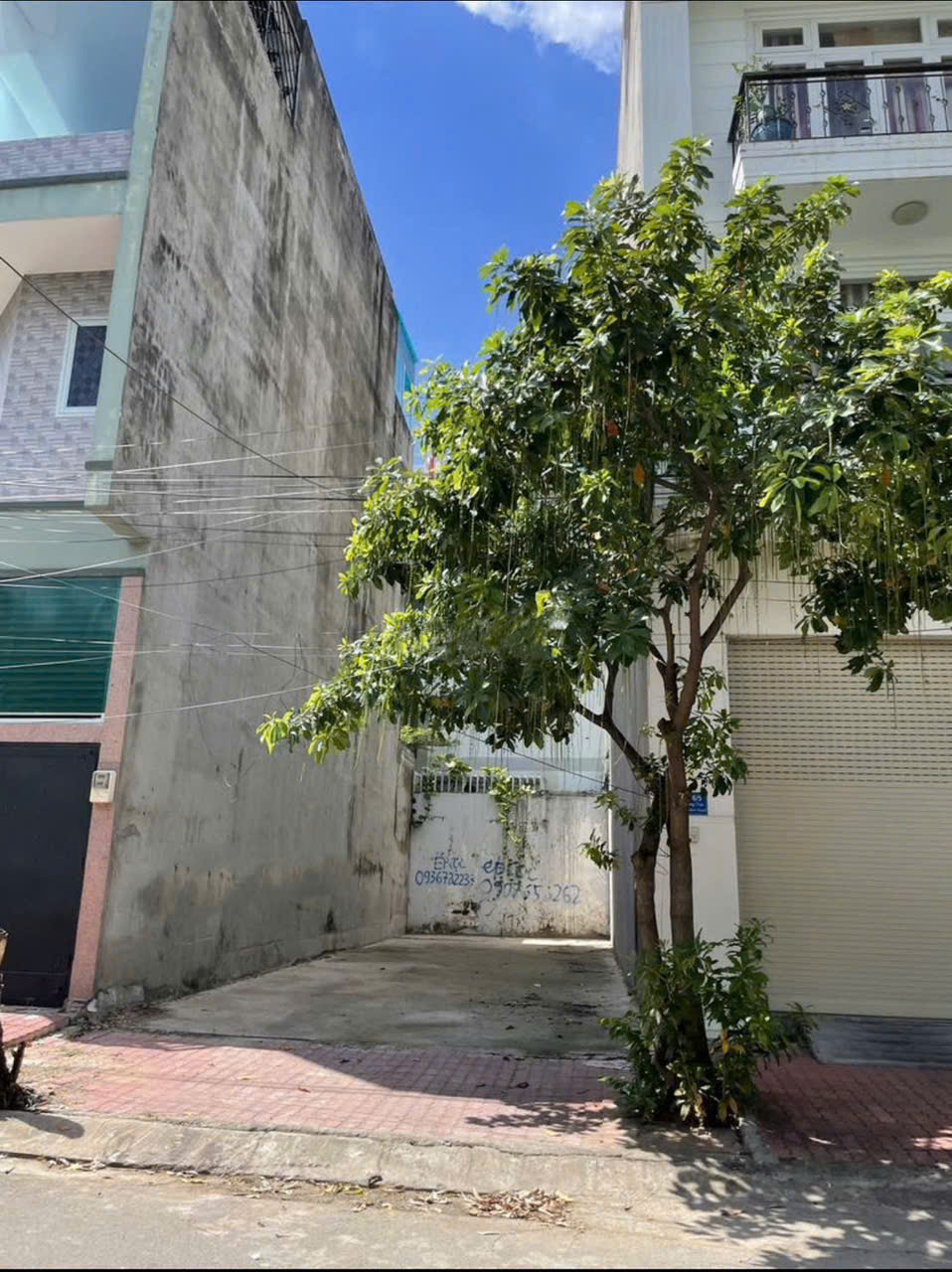 🌟 BÁN ĐẤT TÂN THÔNG HỘI- CỦ CHI, DT 80M2, 1 TỶ6, SHR, CÔNG CHỨNG SANG TÊN NGAY - Ảnh chính